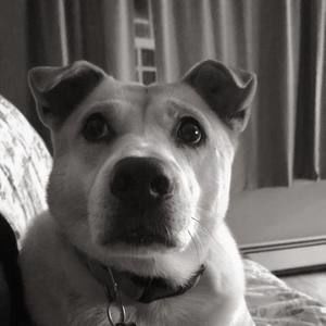 Meet your Posher, Patti